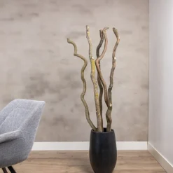 5 Äste | Korkenzieherweide | Naturbelassen | 150 cm