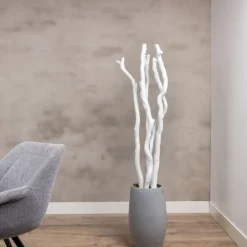 5 Äste | Korkenzieherweide | Weiß | 150 cm