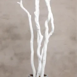 5 Äste | Korkenzieherweide | Weiß | 150 cm