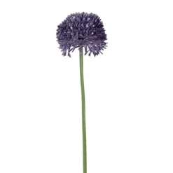 Alliumblüte Groß | Lila | 65cm