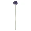Alliumblume Klein | Lila | 50 cm