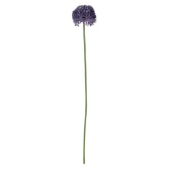 Alliumblume Klein | Lila | 50 cm