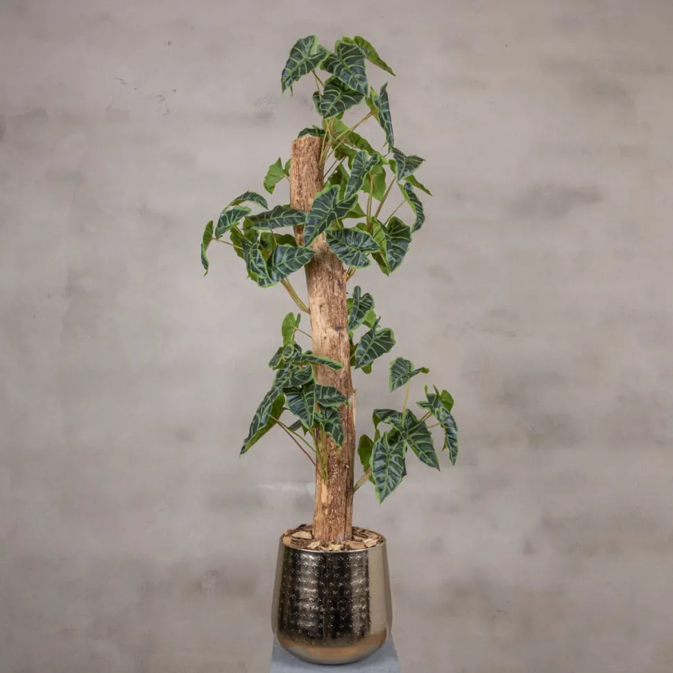 Alocasieblatt auf Stamm | Grün | 100cm