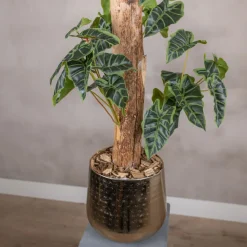 Alocasieblatt auf Stamm | Grün | 100cm