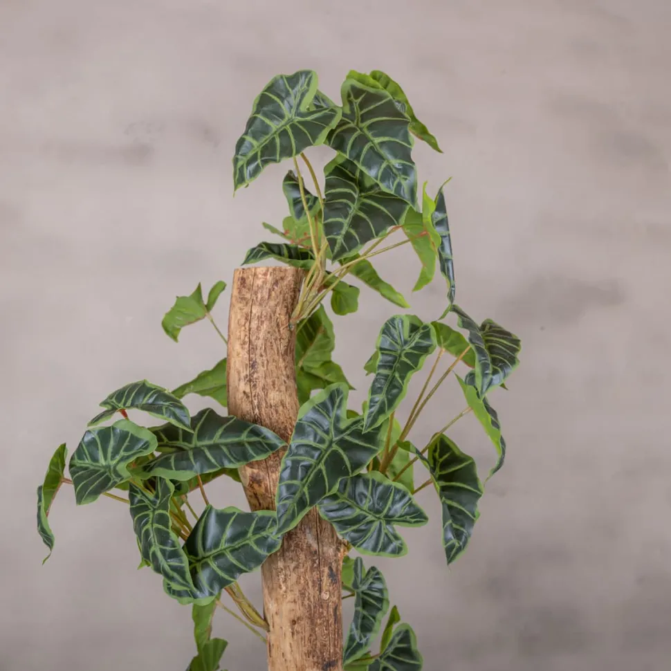 Alocasieblatt auf Stamm | Grün | 100cm