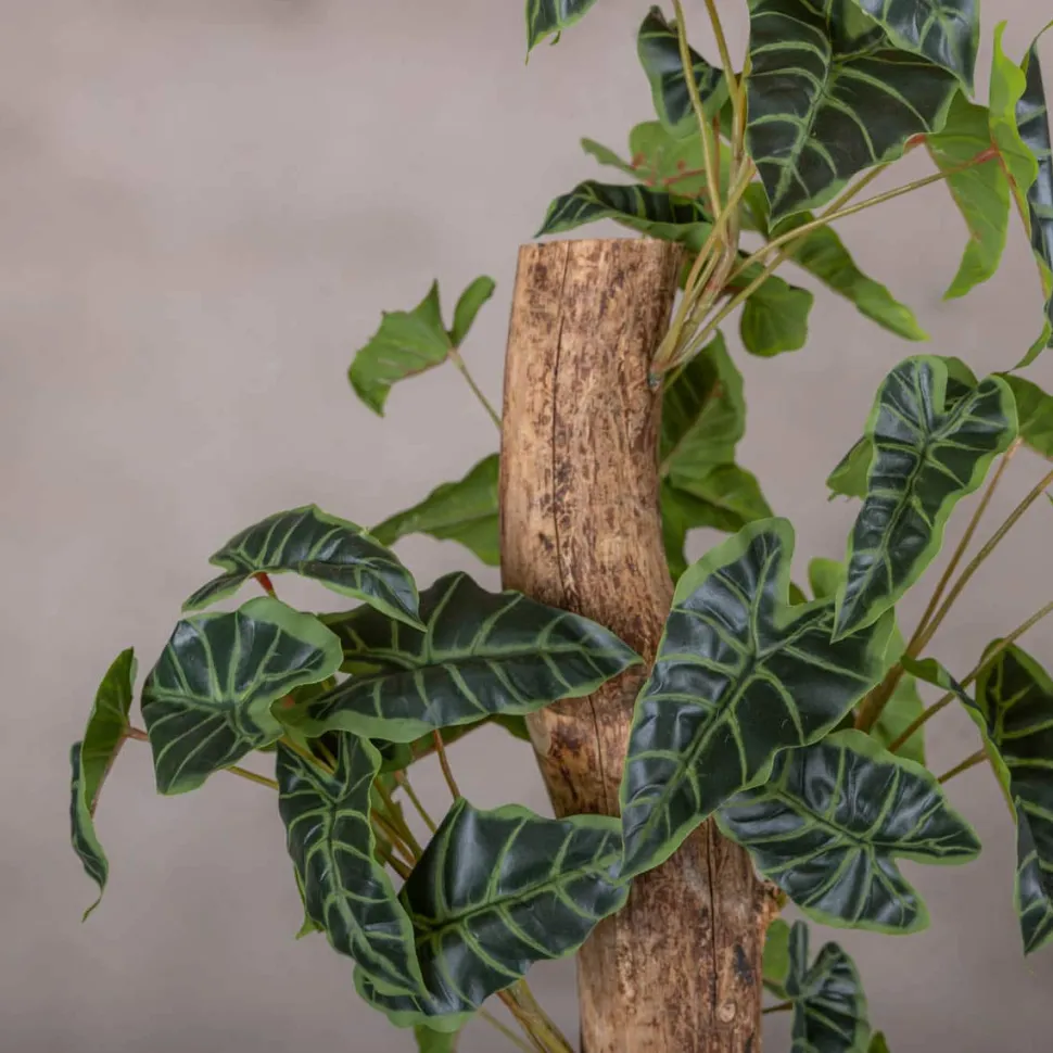 Alocasieblatt auf Stamm | Grün | 100cm