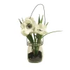 Anemone Weiß in Glas | 15cm