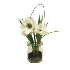 Anemone Weiß in Glas | 15cm