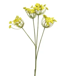 Anethum | Gelb | 65cm