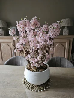 Apfelblütenstrauch Anette | Rosa | 65 cm