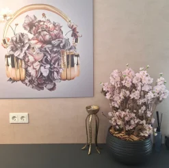 Apfelblütenstrauch Anette | Rosa | 65 cm