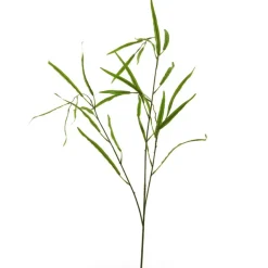 Bambuszweig | 80cm