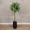 Baum Palermo | Mit Topf | 165cm