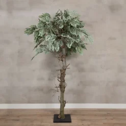 Baum Sardinien | 180 cm