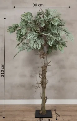 Baum Sardinien | 180 cm