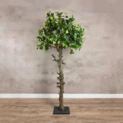 Baum Venetië | 180cm