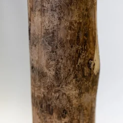 Baumstamm | Länge 50–100 cm | Ø 8–9 cm