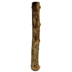 Baumstamm | Länge 50–100cm | Ø 10-12cm