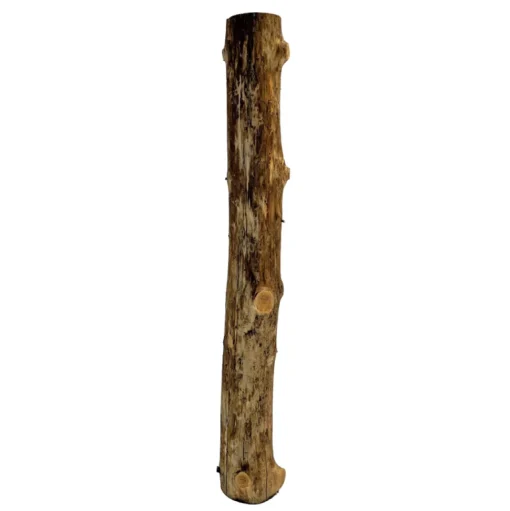 Baumstamm | Länge 50–100cm | Ø 10-12cm