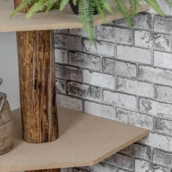 Baumstamm-Eckregal Tarik | Oak | 250 cm