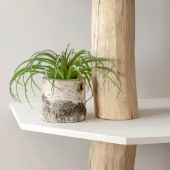 Baumstamm-Eckregal Tarik | Weiße Böden | 250 cm