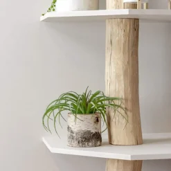 Baumstamm-Eckregal Tarik | Weiße Böden | 250 cm