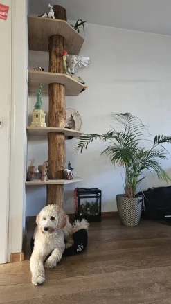 Baumstamm-Eckregal Tarik | 250 cm