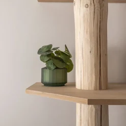 Baumstamm-Eckregal Tarik | 250 cm