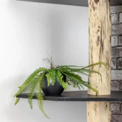 Baumstamm-Eckregal Tarik | Schwarze Böden | 250 cm