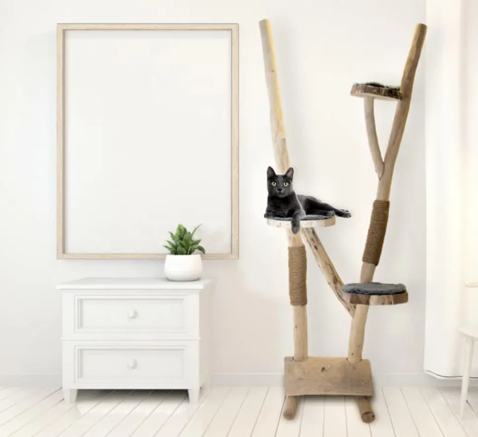 Baumstamm-Kratzbaum | Loeki | 200x100cm