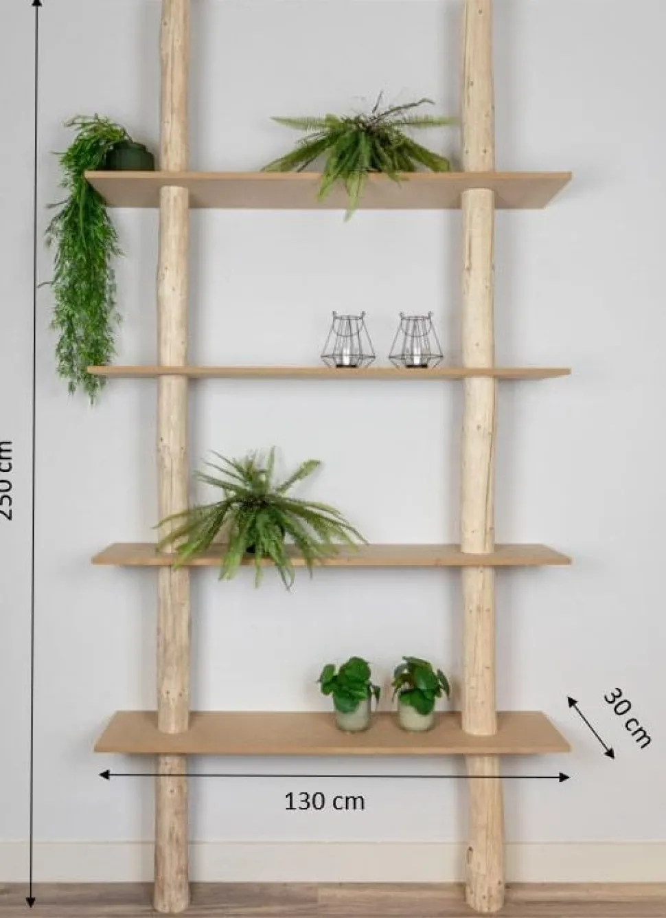 Baumstamm-Wandregal Cedric | 250 cm