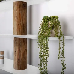 Baumstamm-Wandregal Einar | Oak | Weiße Böden | 250 cm