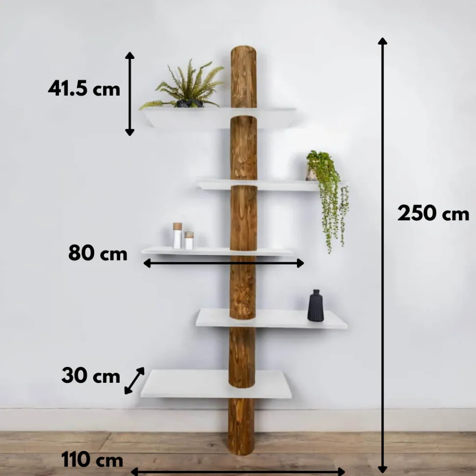 Baumstamm-Wandregal Einar | Oak | Weiße Böden | 250 cm