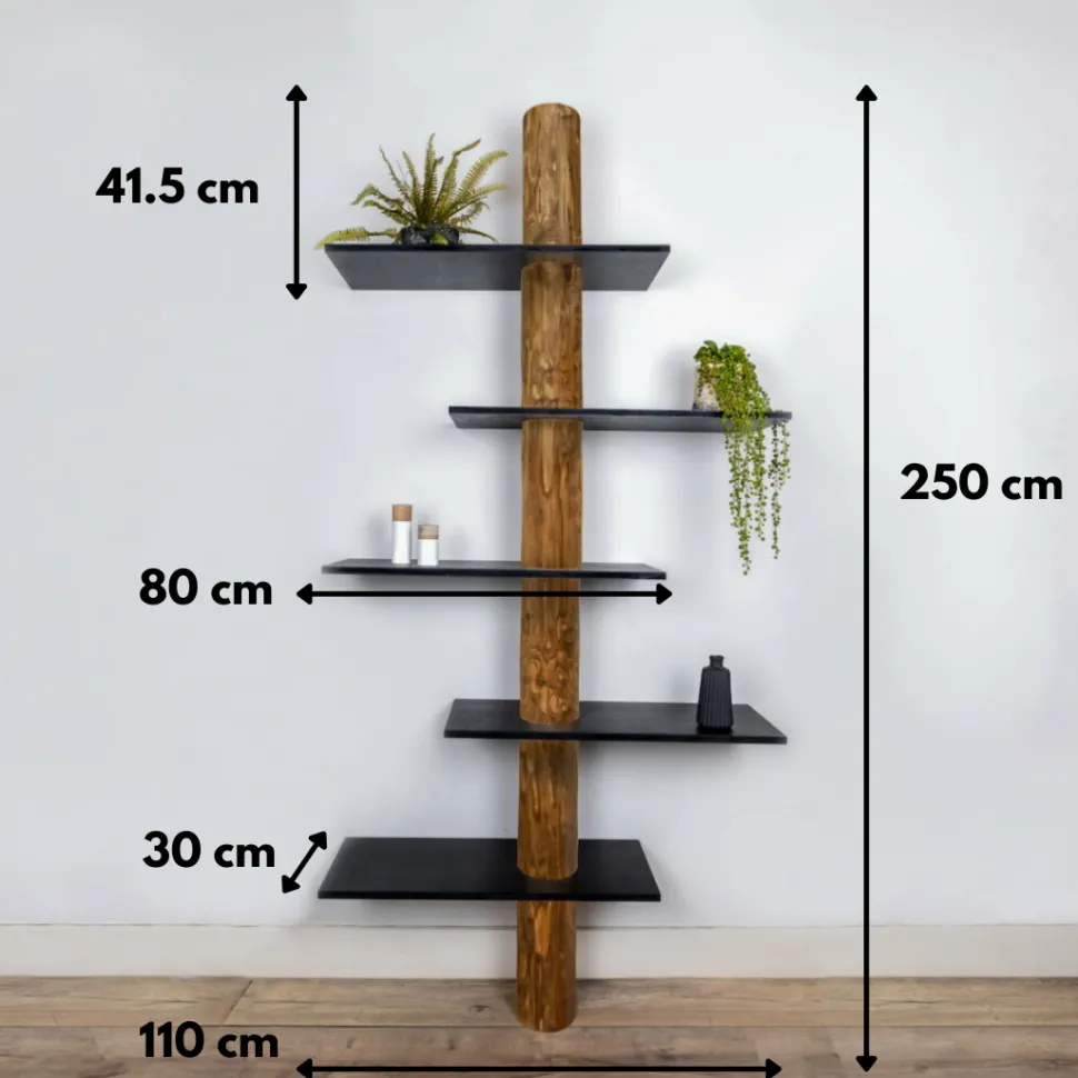 Baumstamm-Wandregal Einar | Oak | Schwarze Böden | 250 cm