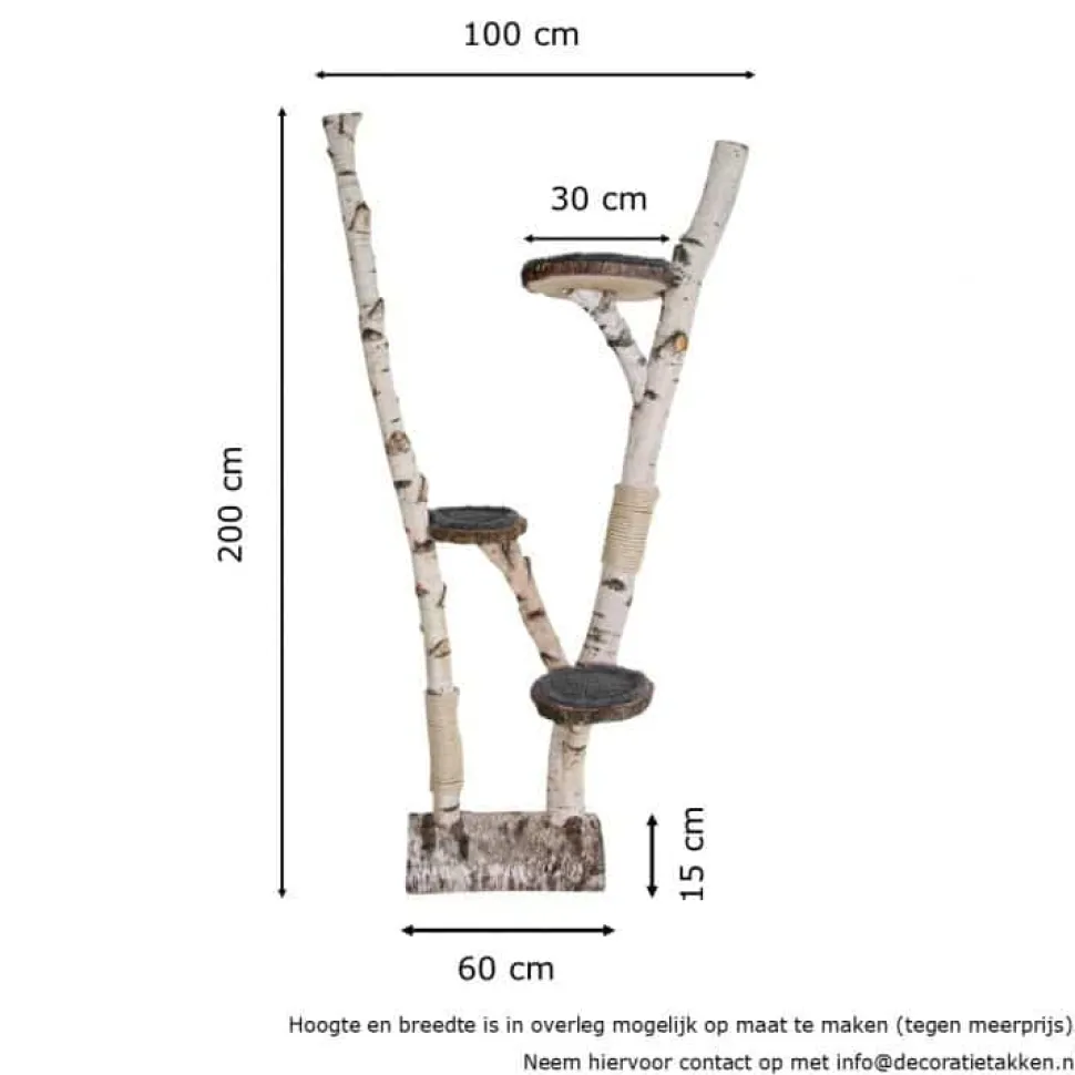 Birken-Kratzbaum | Mimi | 200x100cm