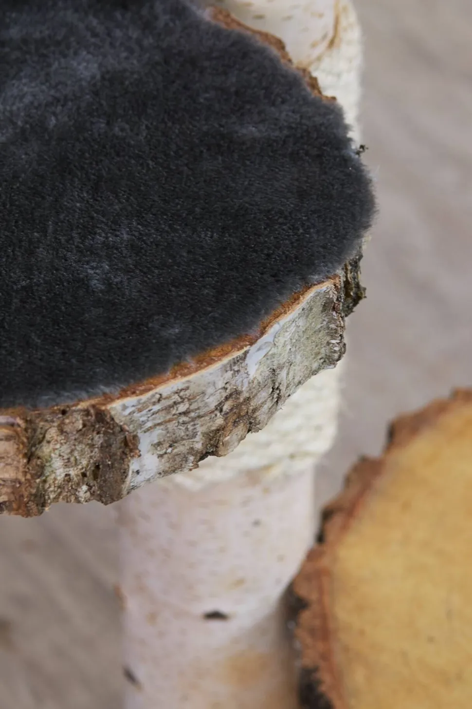 Birken-Kratzbaum | Minoes | 125x35cm