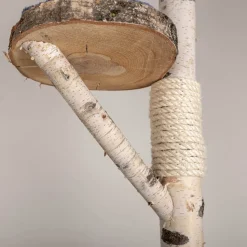 Birken-Kratzbaum | Nala | 120x80cm