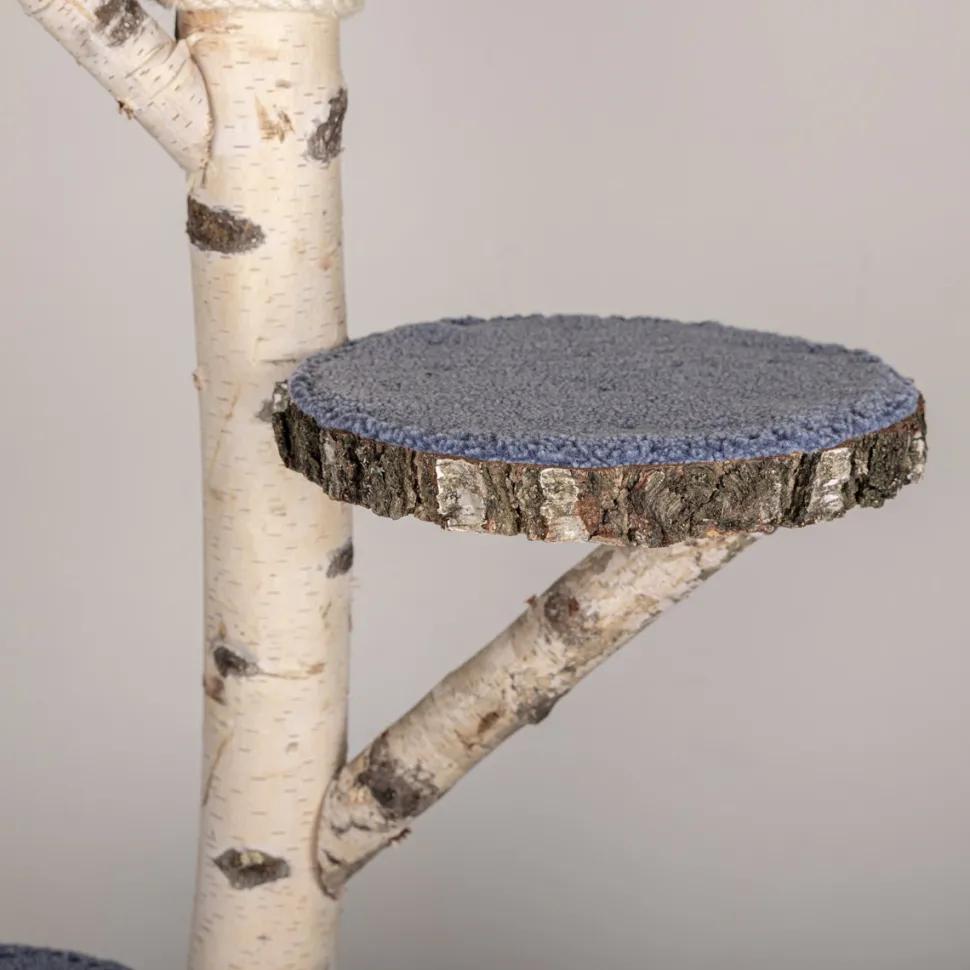 Birken-Kratzbaum | Nala | 120x80cm