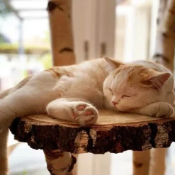 Birken-Kratzbaum | Nala | 120x80cm