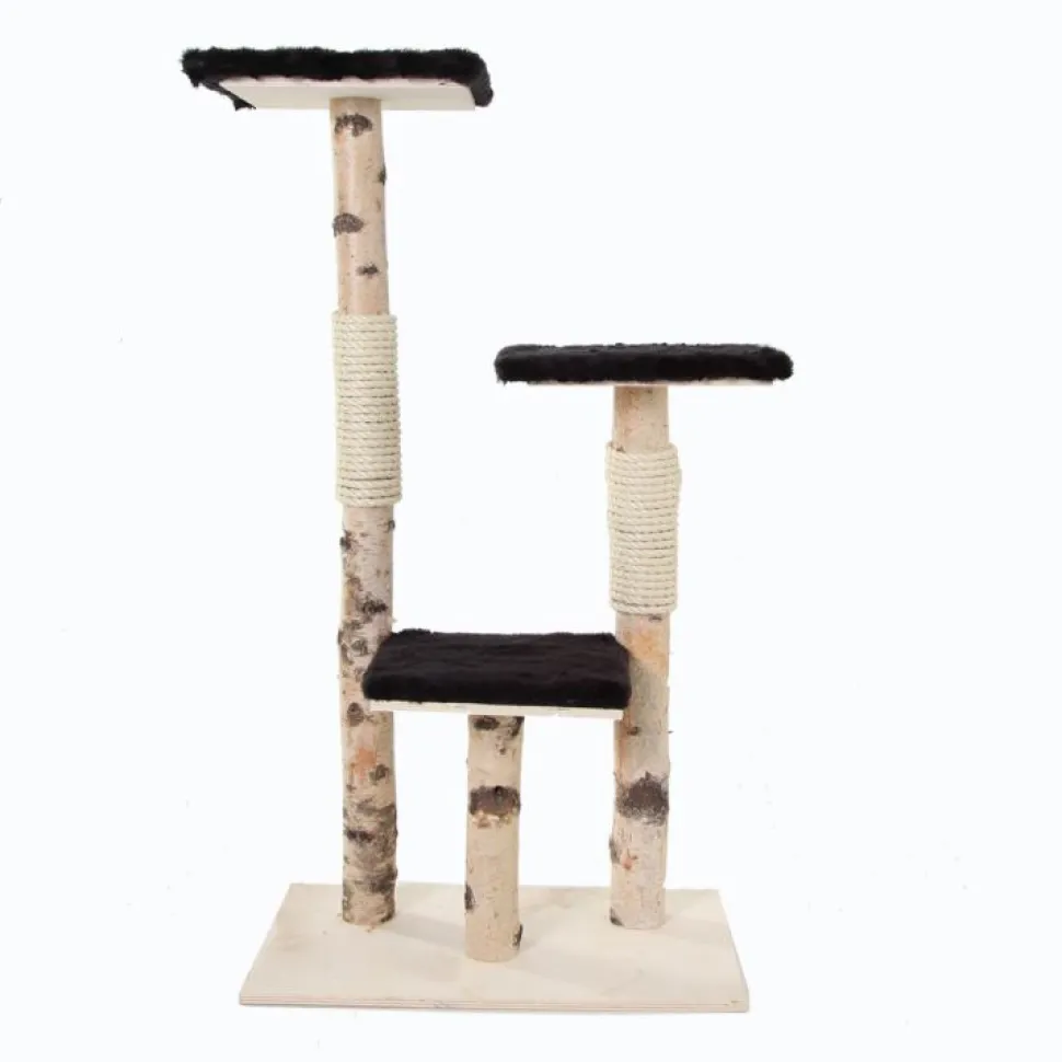 Birken-Kratzbaum | Rocco | 110x65cm