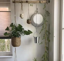 Birkenstamm | Länge 50 –150 cm | Ø 8–9 cm