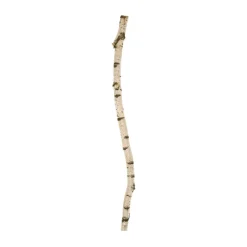 Birkenstamm | Länge 175 bis 300 cm | Ø 8-9 cm