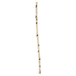 Birkenstamm | Länge 50–150 cm | Ø 3-5 cm