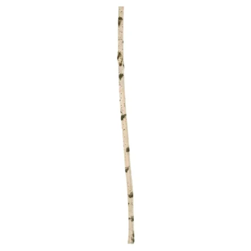 Birkenstamm | Länge 50–150 cm | Ø 3-5 cm