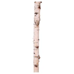 Birkenstamm | Länge 50–150 cm | Ø 3-5 cm