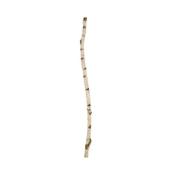 Birkenstamm | Länge 175–300 cm | Ø 6–7 cm
