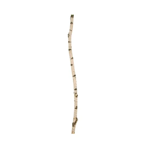 Birkenstamm | Länge 175–300 cm | Ø 6–7 cm