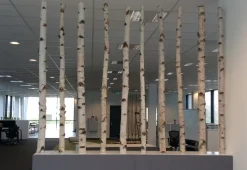 Birkenstamm | Länge 50–150 cm | Ø 6–7 cm