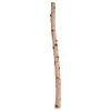 Birkenstamm | Länge 50–150cm | Ø 10–12cm