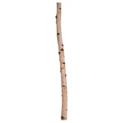 Birkenstamm | Länge 50–150cm | Ø 10–12cm